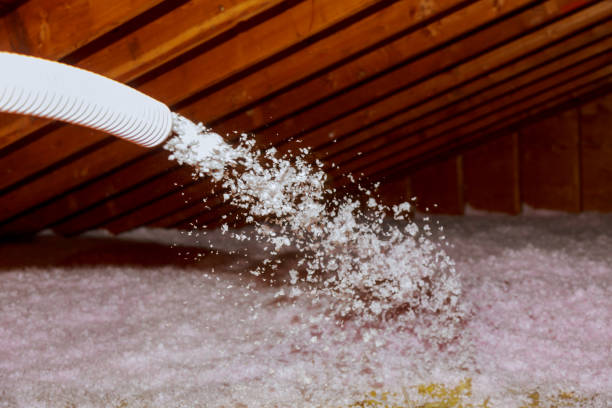 Best Spray Foam Insulation  in Arlington, NE