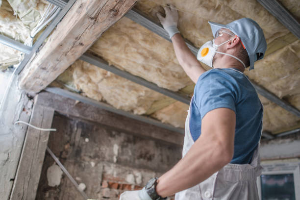 Best Soundproof Insulation Installation  in Arlington, NE