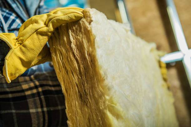 Best Wall Insulation Contractor  in Arlington, NE