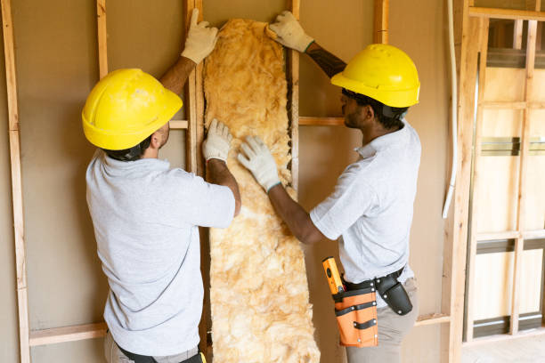 Best Insulation Contractor Near Me  in Arlington, NE