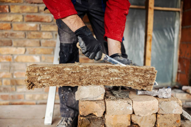 Best Attic Insulation Installation  in Arlington, NE