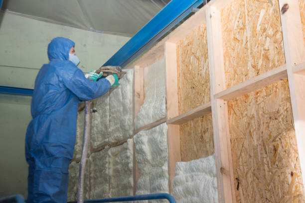 Best Blown-in Insulation  in Arlington, NE