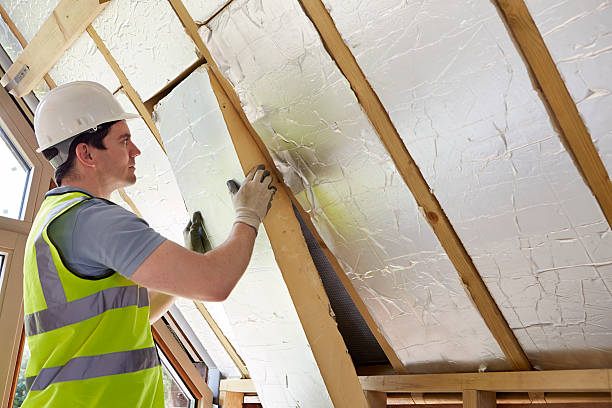 Best Attic Insulation Near Me  in Arlington, NE